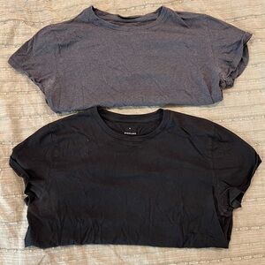 Everlane Cropped Tee Bundle